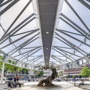 ETFE cushions